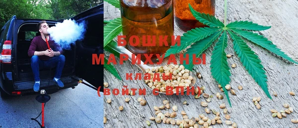 ECSTASY Вяземский