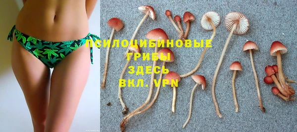 кокаин перу Горняк