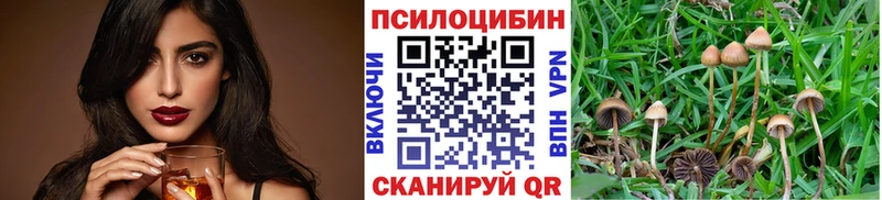 Галлюциногенные грибы MAGIC MUSHROOMS  Черкесск 