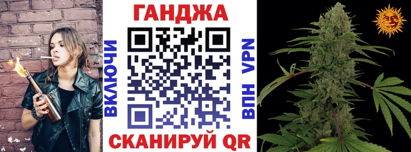 Конопля сатива  Черкесск 
